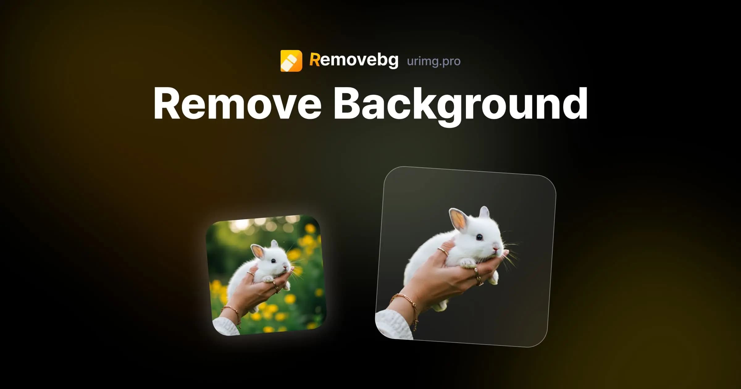 Background Removal